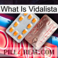 What Is Vidalista new13